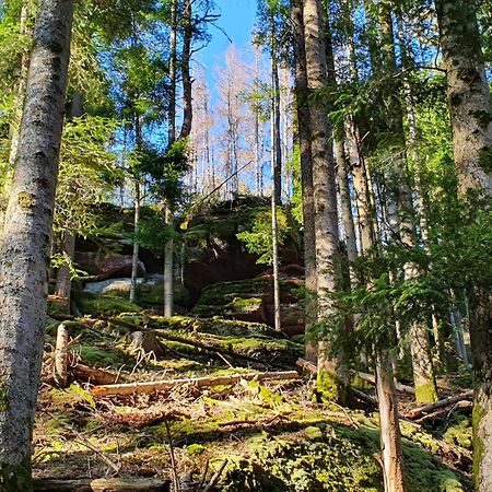 La Gambas Des Bois Villa Saint-Quirin Eksteriør bilde