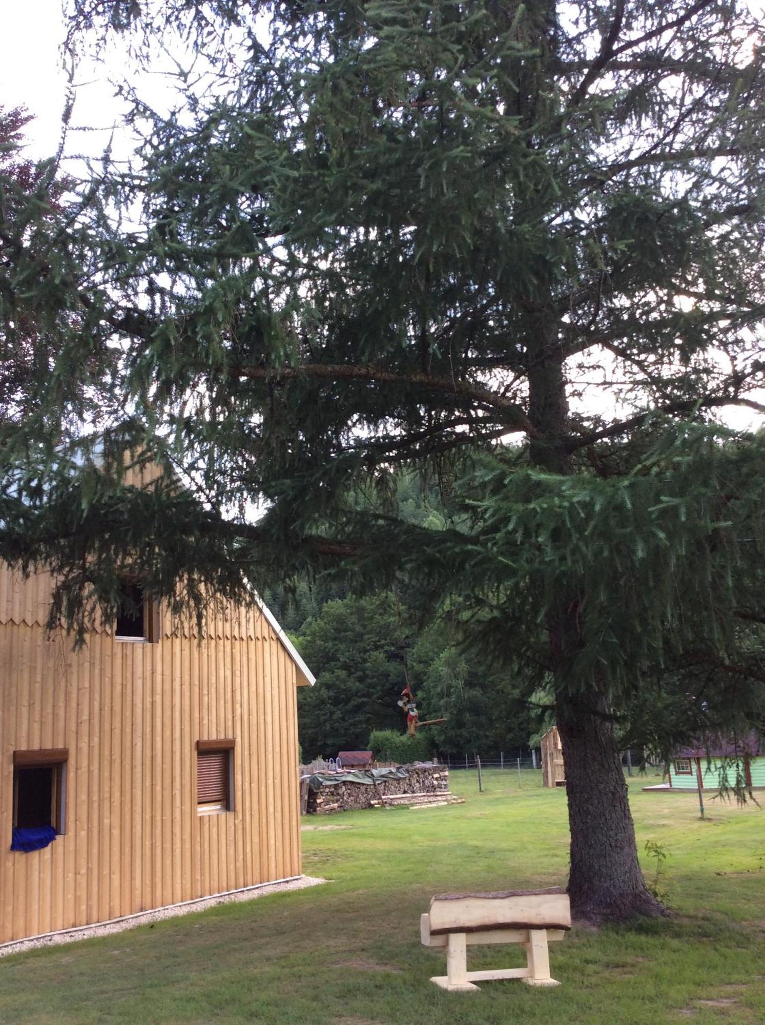 La Gambas Des Bois Villa Saint-Quirin Eksteriør bilde